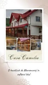 Casa Camelia - Fundu Izei