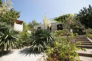 House Paulo1 - Rogačić