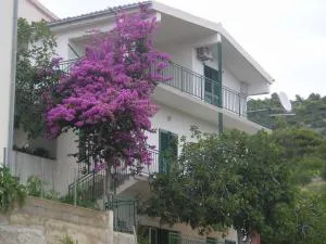 Apartments Neva - Dolac