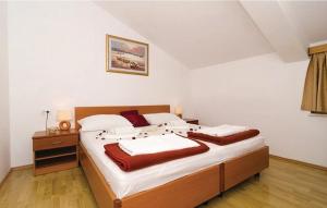 Apartments Pavo