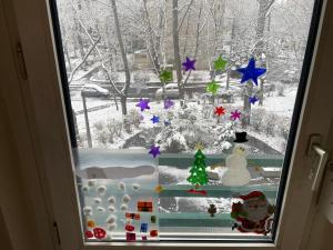 Calm island near the Danube Apartment - free parking