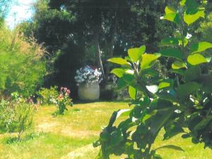 Maisons de vacances Maison soignee 800m port et plage, Le Palais, 2 ch, jardin, Wi-Fi, TV, proche commodites - FR-1-418-218 : Maison de Vacances