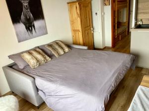 Appartements Le Flocon de Thollon : photos des chambres