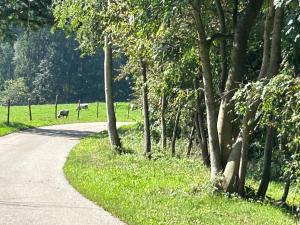Natur pur Maximilian