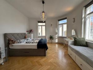 cozy apartment near Schönbrunn 17
