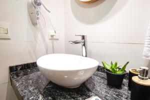 Abedul en pleno centro