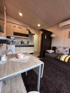 Villa Vlada vacation houses