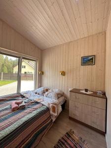 Villa Vlada vacation houses