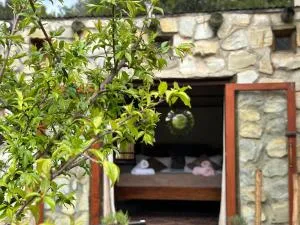 Stormsriver Backpackers Dijembe - Joubertina