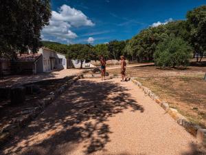 Maisons de vacances Coeur de Lavande - Maison climatisee avec piscine : Maison 3 Chambres