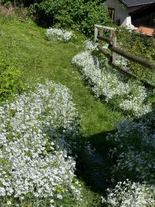 Appartements Huguette studio 18m2 : photos des chambres