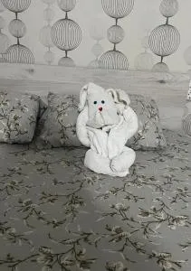 Casa Elena - Viile-Noui