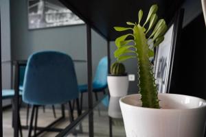 Industrial Design Bungalow – 2 min to Center, Wifi