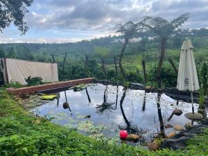 Mầm Farmstay And Camping