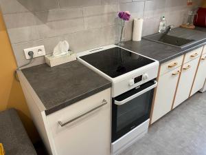 Appartements Charmant appartement centre ville proche thermes : photos des chambres