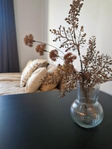 Studio Laivatalo with great location