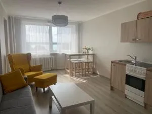 Tamula järve vaatega korter - Roosisaare