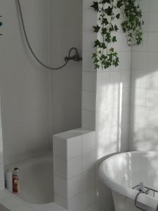 Maison de campagne à Paris