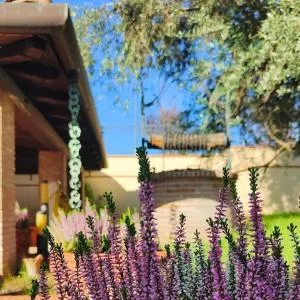 Colibrì - Villa di Charme - Morolo