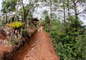Laguna Azul Cabaña Lodge Lagunas de Montebello