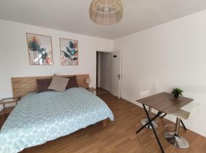 Appartements L'Ecrin d'Emile - Grand Studio Meuble au Calme : photos des chambres