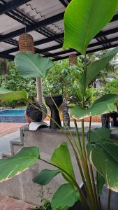 Villa 365 thalpe
