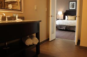 Hotel Julien Dubuque