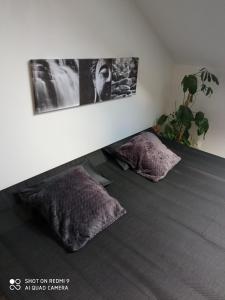 Appartements Le Paradis de Sophie : photos des chambres