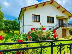 Maison des Merisiers - 蒙索莱米讷