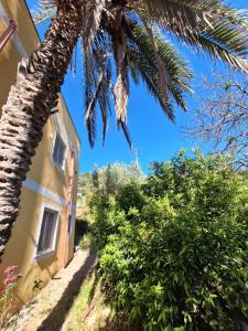 Casa Vacanze Geppy e Minù Gole Alcantara