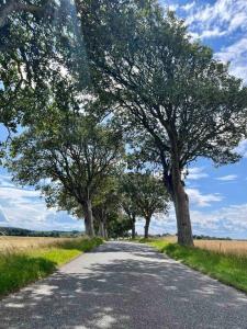 Hyggeligt sommerhus med privat have