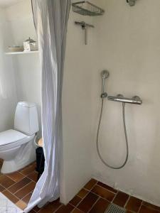 Hyggeligt sommerhus med privat have