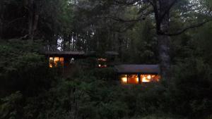 Linda Cabaña en Reserva HuiloHuilo