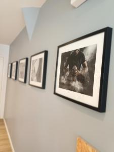 Appartements T2 l-ovalie, 4pers , 4lits, wifi : photos des chambres