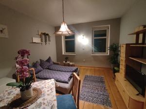 Spacious Room in Tyrolean Flat