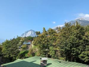 Spacious Room in Tyrolean Flat
