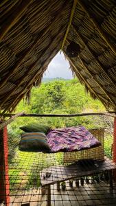 Ave de Montaña Cabañas