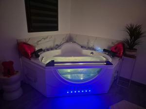 Appartements Love Room - Cocon Room - Toulon - Ollioules : photos des chambres