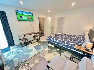 Lux King Studio Penthouse w private entrance - Welling