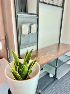 Lux King Studio Penthouse w private entrance