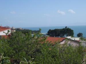 Apartments Josip II