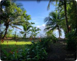 Cabaña Espavé - Arusí, Chocó