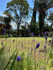 La casita de CristAl