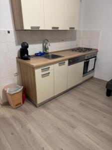 Apartments with WiFi Rijeka - 16539
