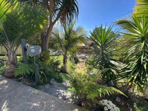 Garden View Homestay Single Ensuite Room