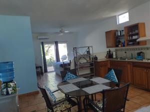 Lot # 7 ~ Large, Energetic Baja House