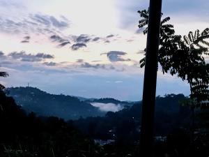 Fly Infinity - Home Stay Kandy