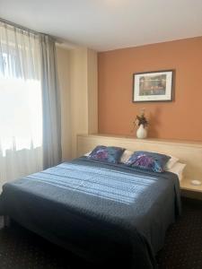 Standard Double Room room in Hotel Pacific