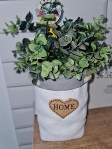 ЛИЧАКІВСЬКА 19 Центр