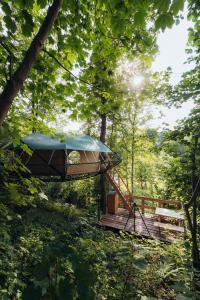 Les Nids du Domaine du Château de Pailhe